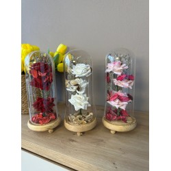 Kupole Qelqi me 3 Trendafila dhe Drite LED