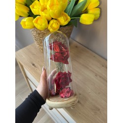 Kupole Qelqi me 3 Trendafila dhe Drite LED