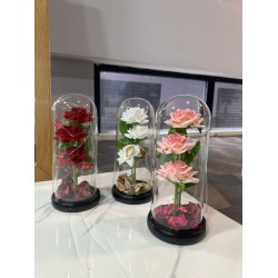 Kupole Qelqi me 3 Trendafila dhe Drite LED