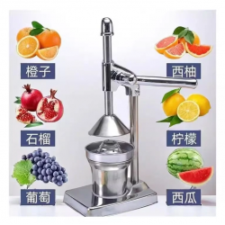 Shtrydhese Shegesh | Pomegranate Squeezer Machine