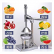Shtrydhese Shegesh | Pomegranate Squeezer Machine