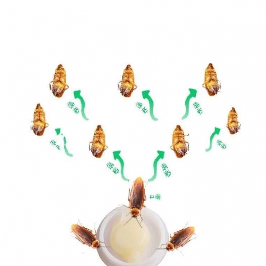 Xhel Kunder Buburrecave dhe Insekteve