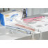 Pjaster Flokesh | DSP Hair Straightener 10221