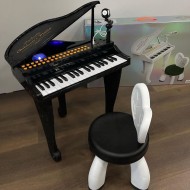 Piano Loder Muzikore | Electronic Piano
