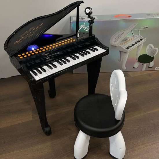 Piano Loder Muzikore | Electronic Piano