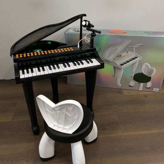Piano Loder Muzikore | Electronic Piano