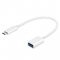 Adaptor Audio OTG USB 2.0  ne Type-C 