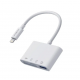  Adaptor Lexues Karte Lightning 