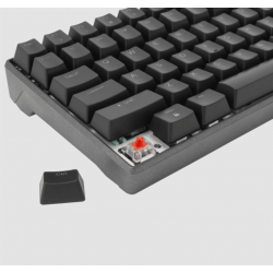 Tastiere White Shark TIPKOVNICA per Lojra | White Shark KEYBOARD ESL-K2 KATANA