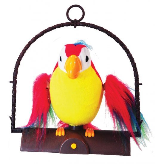 Papagall Qe Flet per Femije |Talk Back Parrot