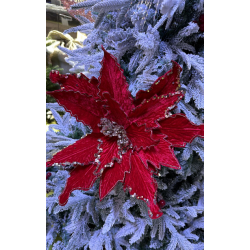 Xiaomi Portable Electric Air Compressor 2 Pro