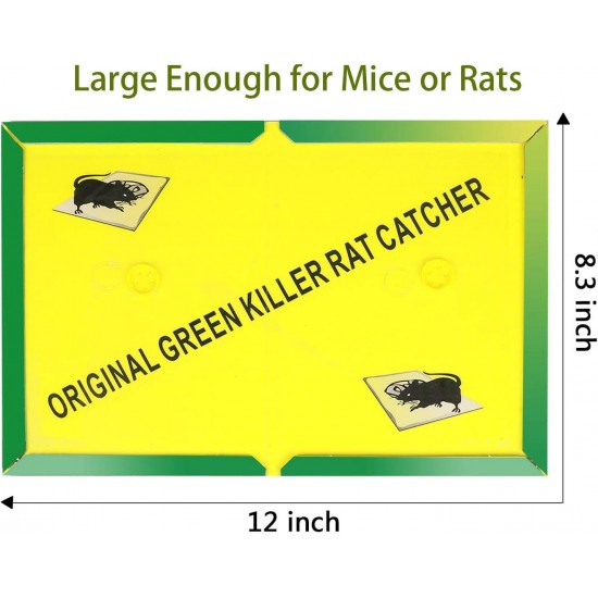 Kurth per Minjte ne Forme Adezivi | Mouse Glue Board