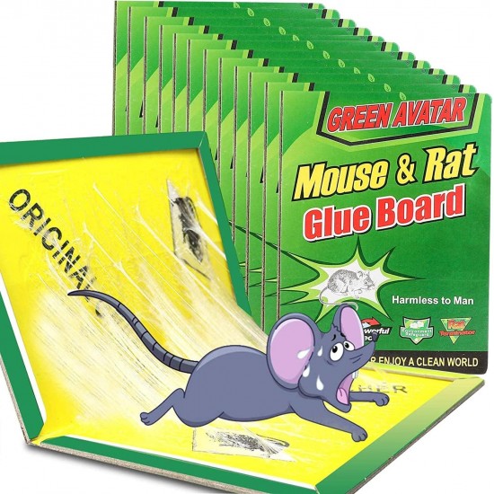 Kurth per Minjte ne Forme Adezivi | Mouse Glue Board