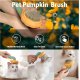 Kreher per Macet dhe Qente | Pet Cleaning Slicker Brush